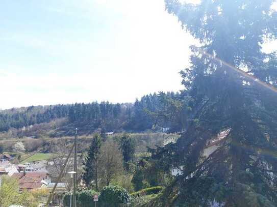 Mehrere Baugrundstücke In Obrigheim + Teilorte, teilweise mit Neckarblick