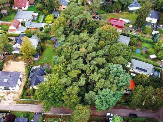 Großes Baugrundstück im Berliner Speckgürtel - 2 km von der Berliner Stadtgrenze