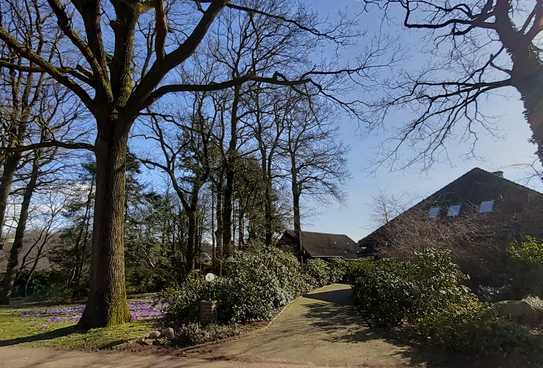 Großzügiges Wohnen im Grünen - Freie Aussicht in die Natur in alle Richtungen