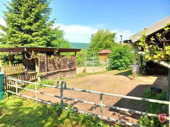 Resthof für Tierfreunde, Bauernhof für Selbstversorger, gemütliches Dorfleben