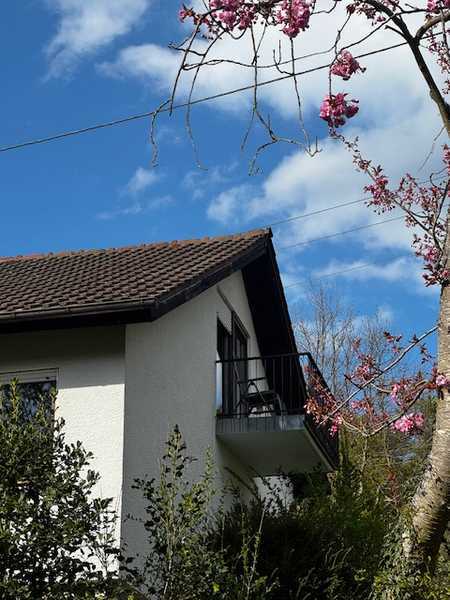                                                               Sonnige 2,5 Zimmer-DG-Whg. mit 2xBalkon, EBK in 75385 R&ouml;tenbach, WM pauschal 72&hellip;                                                       in Haardt (Schweinfurt)