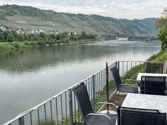 Schätzchen im Dornröschenschlaf