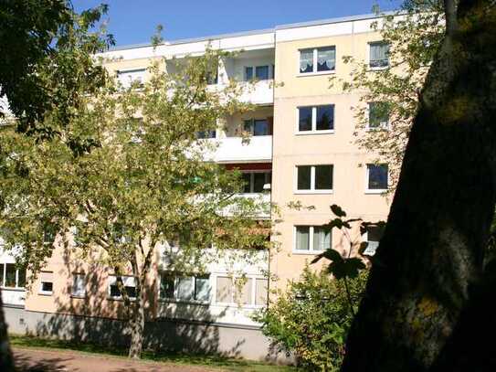 Frisch sanierte 3-Raum-Wohnung in toller Lage