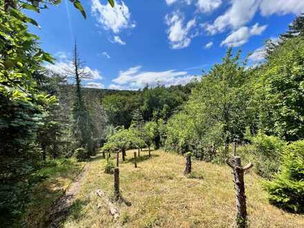 * Gartenidylle in absoluter Ruhe: Grundstück mit 931 qm * Abendsonne * Waldblick / oberhalb Dürrbach