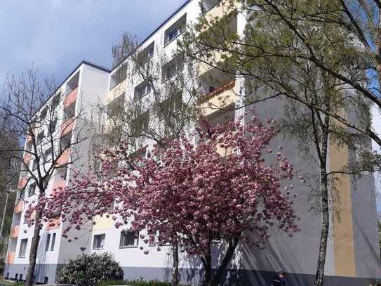3 Zimmerwohnung mit Balkon in Düsseldorf-Knittkuhl