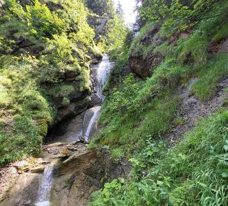 Wunderschönes und einmaliges Naturareal mit Wasserfall, Quelle, gesundem Mischwald und Burgruine !!!