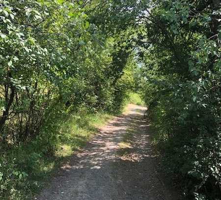 Ca. 2.000 m² Top-Obstgarten mit Hütte, Schuppen + 2 Zufahrten in Frankfurt Bergen zu verpachten