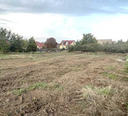 NEUBAU Doppelhaushälfte mit WÄRMEPUMPE und Keller in Zornheim**schlüsselfertig