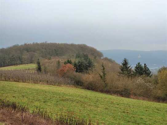 Im Mittelrheintal: 8,5 Hektar besondere Waldstücke ehm. Bergwerk