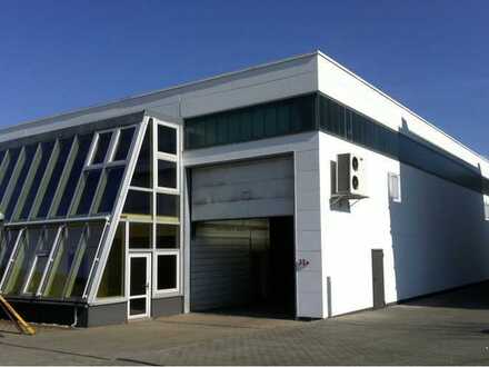 "BAUMÜLLER & CO." - ca. 5.000 m² NEUBAU Hallenfläche - Top Lage !