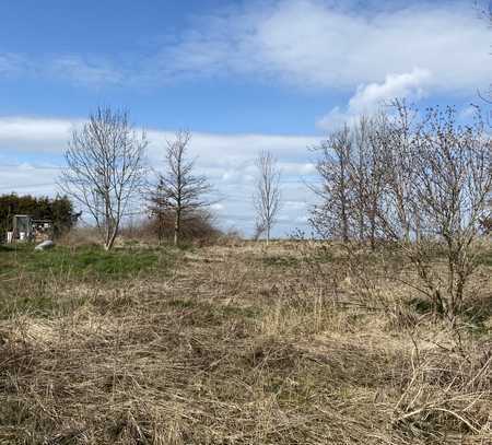 2 Baugrundstücke für einen Preis in ruhiger Lage