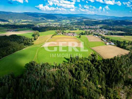 Forstwirtschaftliche Grundstücke in Haselbach (Wald)