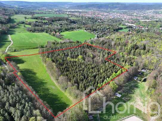 Nadel-/ Laubmischwald mit Ackeranteil (ca. 5 ha) bei Saalfeld
