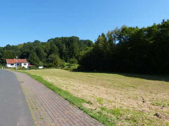 VIELE MÖGLICHKEITEN!!! 3837 m² großes Grundstück in Wildeck-Bosserode