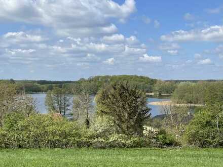 Helle 3-Zimmer-Wohnung mit Seeblick, Gartenmitbenutzung und Badesteg am Düstersee