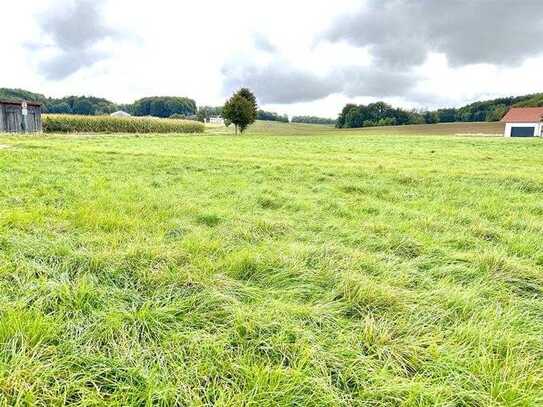 Baugrundstück(e) in Herrnried zwischen Parsberg / Hemau, 1150m² bis 5000m²