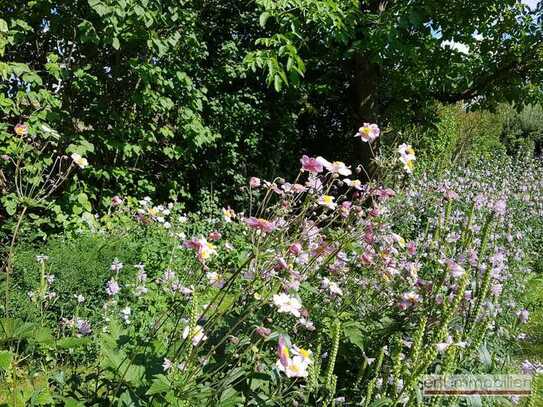 * NATUR PUR * 
Baugrund zur Wohnbebauung in ländlicher Umgebung, einen Steinwurf von Lauf entfernt