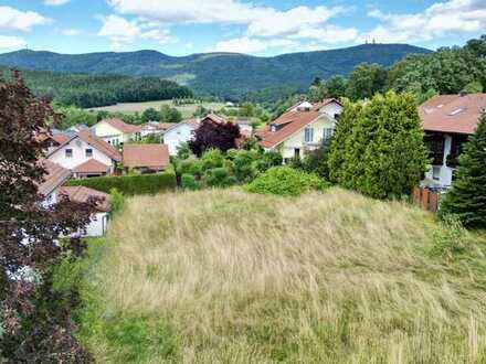 Baugrundstück mit direkten Blick zum Hohenbogen in Grafenwiesen!