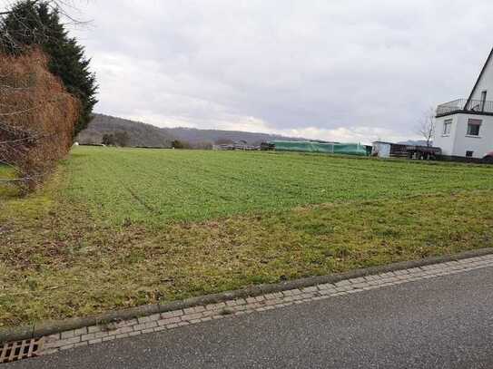 Das variable Haus mit Wohlfühlgarantie in Weißenborn - Einfach genießen...