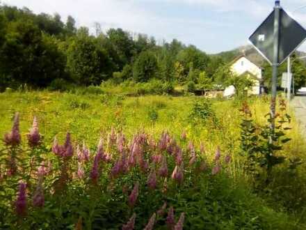 Riesiges voll erschlossenes Baugrundstück in Bad Lauterberg im Harz