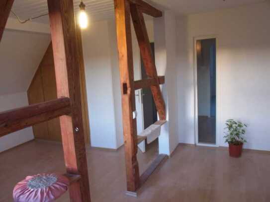 Gemütliche 2-Zi-DG-Whg. mit schönem Waldblick in Vielbrunn (bei Michelstadt)