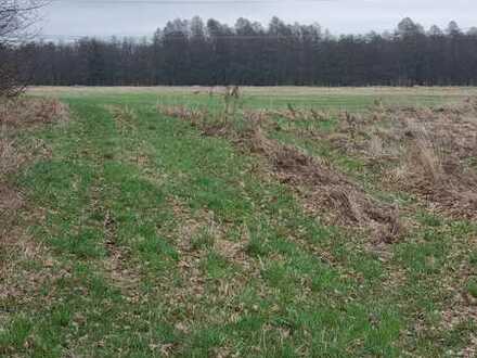 Landwirtschaftsfläche/Grünland ca. 6.455m² zu Verkaufen!