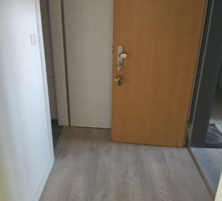 Neu renovierte 1-Raum-Wohnung in zentraler Lage WE 02)