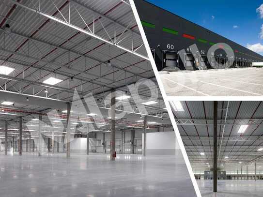 ESG-konform ✯ NEUBAU ✯ ca. 20.000 m² Logistikhalle ✯ Rampentore / ebenerdige Tore ✯ Q3 2026