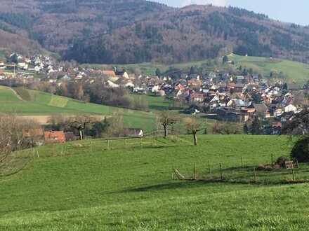 Barrierefreie 3-Zi-Whg. EG 103 m² Sölden bei Freiburg