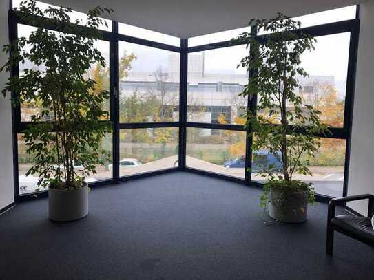 Flexible Büroflächen in Mörfelden-Walldorf