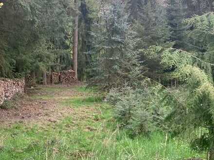 Aufgepasst! Wunderschönes Grundstück im Neubaugebiet "Am Silberbach"