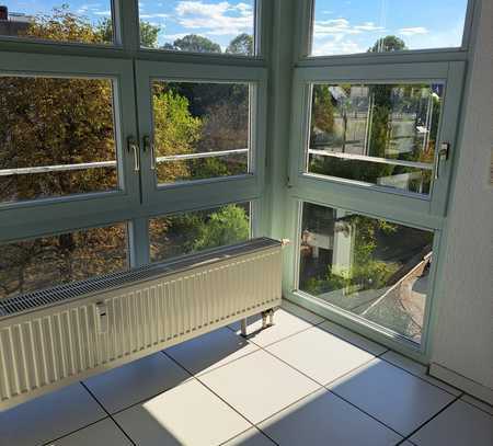 Stilvolle 2 1\2 Zimmer-DG-Wohnung mit Balkon in Lauffen am Neckar