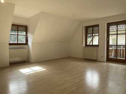 Helle renovierte 2-Zimmer Wohnung in Horb-Talheim