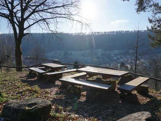 Tinyhaus-Traumplatz auf der Sonnenseite und um den Ort viele Wanderwege im Pfälzerwald