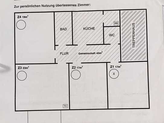 3er Mädchen-WG mit großem WZ und Balkon