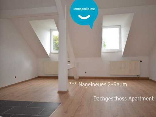 Dachgeschoss • Kaßberg • 2 Raum Apartment • Bad mit Dusche • neues Laminat • zur Miete • Kaßberg