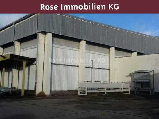 ROSE IMMOBILIEN KG: Lagerhalle mit 8,5 m Höhe, Kühlzellen und Außenfläche zu verkaufen!