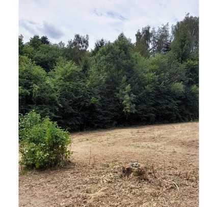 2 sonnige Wohnbau-Grundstücke, idyllische zentrale Lage