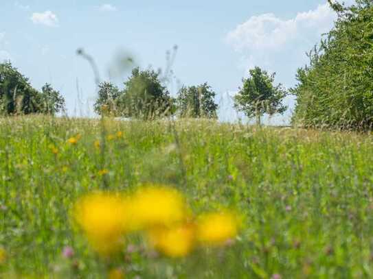 *** 3 Monate mietfrei *** Hier beginnt modernes Wohnen: Ihr Erstbezug in grüner Randlage, AMALIE