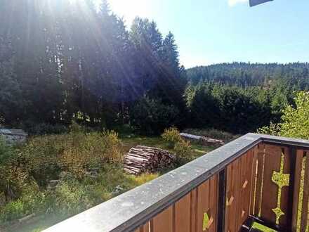 Sehr schöne helle 4 Zimmer Wohnung mit großem Balkon in Lindberg