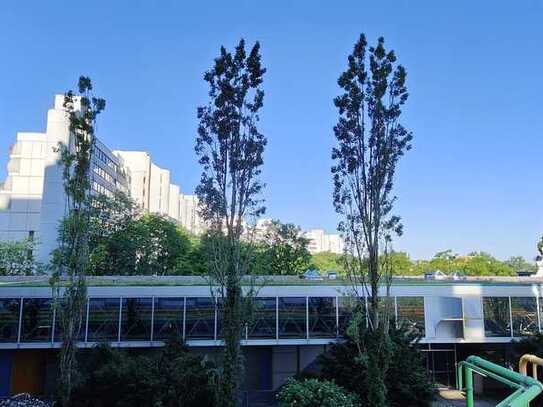 Nettes und gut geschnittenes 2-Zimmer-Büro mit großer Westloggia in München-Olympiadorf