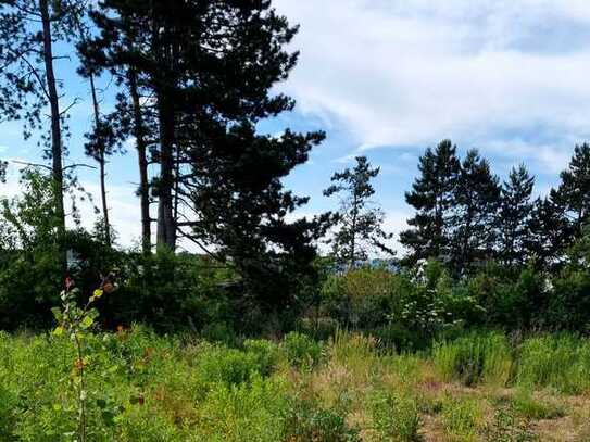 Letztes Grundstück im Baugebiet Grillensee Naunhof – Exklusiv mit Febro Massivhaus!