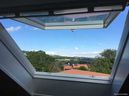 Schöne sanierte Dachwohnung in sehr ruhiger Lage