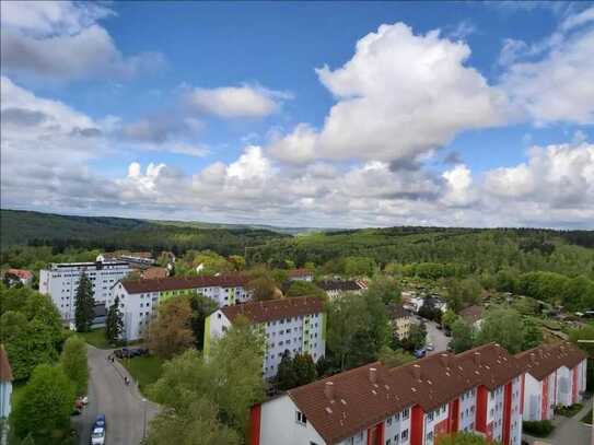 Stilvolle 2,5-Raum-Wohnung - in Heidenheim - möbliert