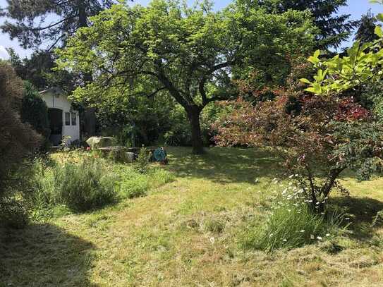 Provisionsfrei - Unbebautes Baugrundstück mit parkähnlichem Garten