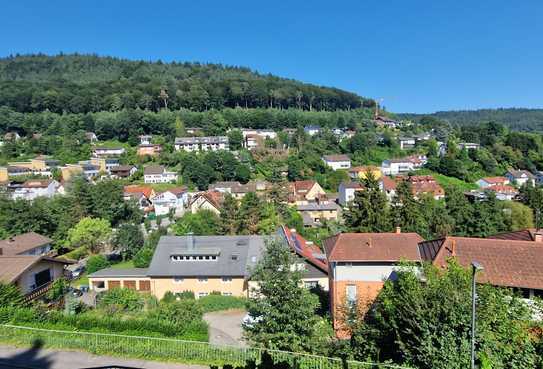 Attraktive renovierte 2,5-Zimmer-Wohnung mit Terrasse und Garten in Heidelberg