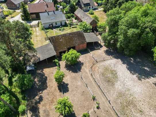 Pferdehof im Spreewald - Ein Paradies für Mensch & Pferd