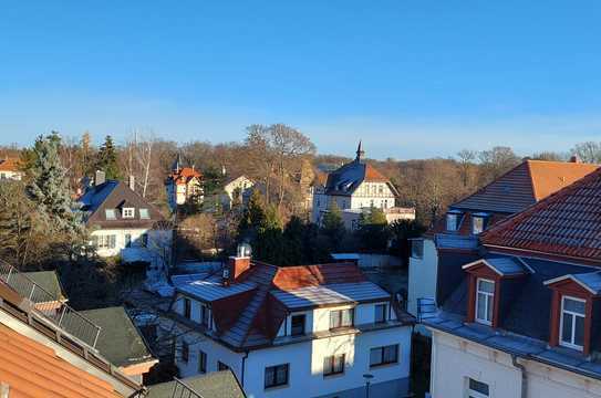 3 Zimmer-Wohnung am Park