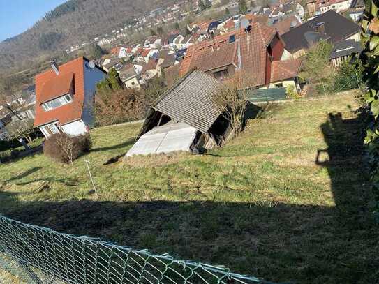 Baugrundstück in Eberbach mit herrlichem Blick in top Lage