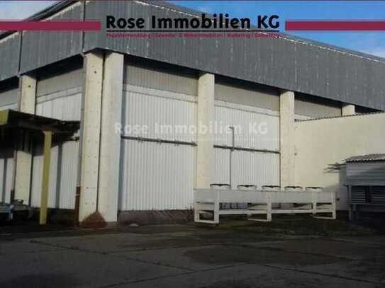 ROSE IMMOBILIEN KG: Lagerhalle mit 8,5 m Höhe, Kühlzellen und Außenfläche zu verkaufen!